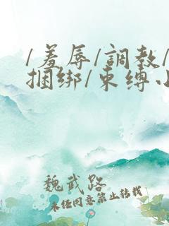 /羞辱/调教/捆绑/束缚小说