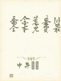 乔念叶妄川小说全本免费最新