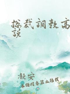 总裁调教高h小说