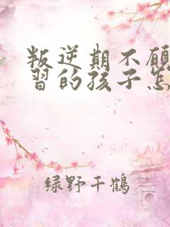 叛逆期不愿意学习的孩子怎么去沟通