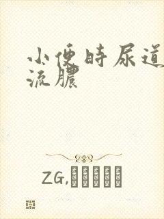 小便时尿道刺疼流脓