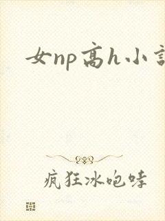 女np高h小说