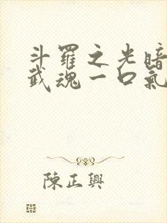 斗罗之光暗双生武魂一口气看完