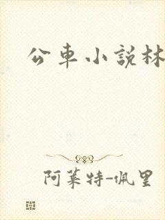 公车小说林蔓蔓