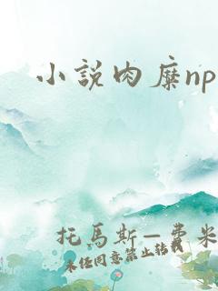 小说肉糜np