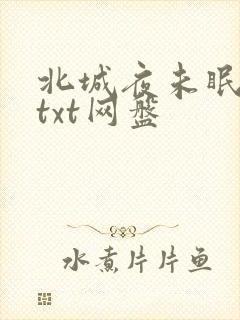 北城夜未眠小说txt网盘