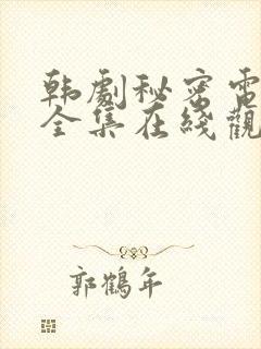 韩剧秘密电视剧全集在线观看