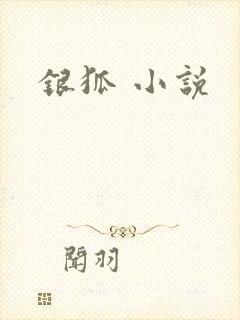银狐 小说