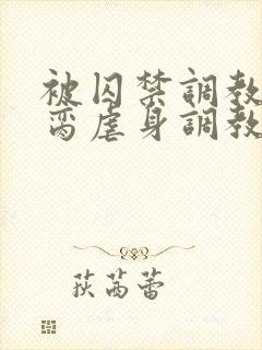 被囚禁调教成禁脔虐身调教双男主