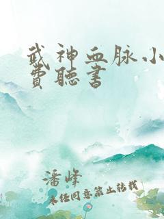 武神血脉小说免费听书