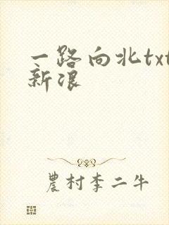一路向北txt新浪