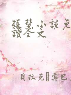 张慧小说免费阅读全文