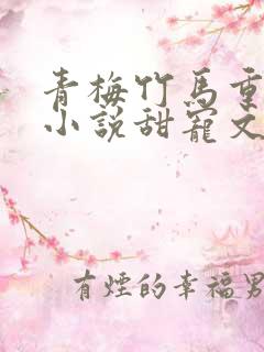 青梅竹马重逢的小说甜宠文