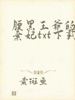 腹黑王爷的绝色弃妃txt下载