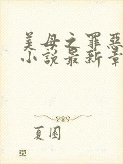 美母之罪恶天使小说最新章节阅读