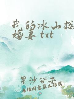 我的冰山总裁未婚妻 txt