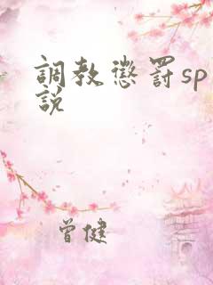 调教惩罚sp小说