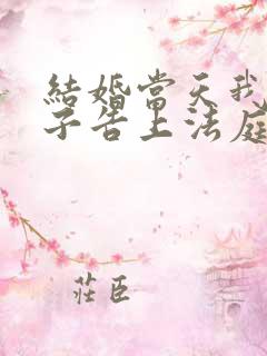 结婚当天我被妻子告上法庭短剧完整版