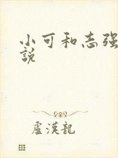 小可和志强的小说
