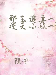 邪王追妻~废材逆天小姐~误惹妖孽王爷