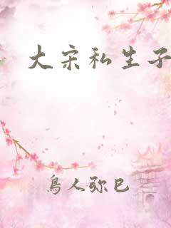 大宋私生子