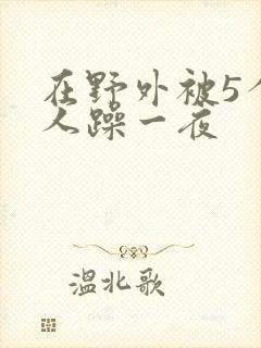 在野外被5个男人躁一夜