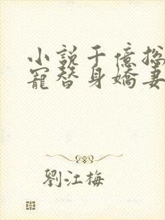 小说千亿总裁独宠替身娇妻全文阅读