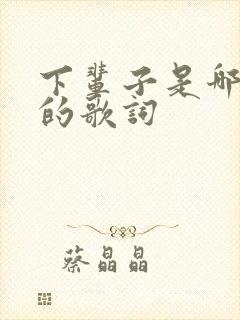 下辈子是哪首歌的歌词