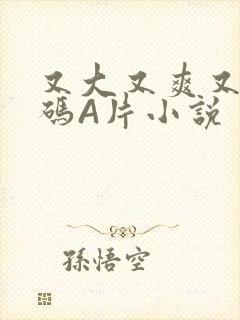 又大又爽又黄无码A片小说