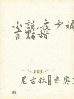 小说,夜少娇妻有点甜