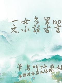一女多男np辣文小说古言