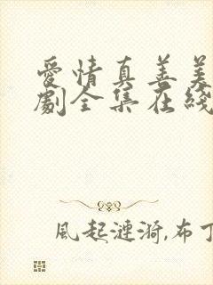 爱情真善美电视剧全集在线