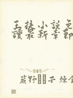 王扶小说免费阅读最新章节无弹窗