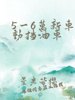 5一6万新车自动挡油车