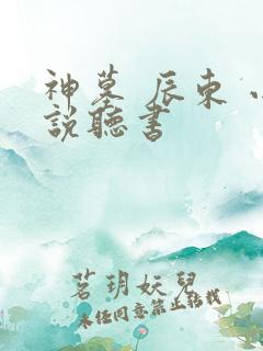 神墓 辰东 小说听书
