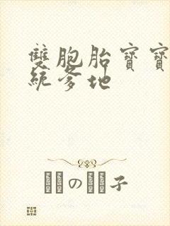 双胞胎宝宝的总统爹地