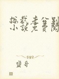 总裁老公别太坏小说免费阅读