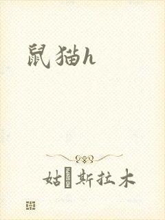 鼠猫h