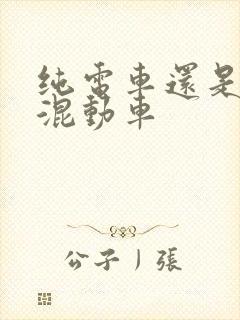 纯电车还是插电混动车