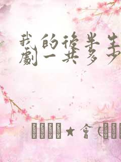 我的后半生电视剧一共多少集