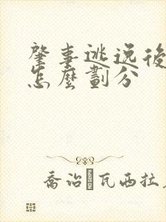 肇事逃逸后责任怎么划分