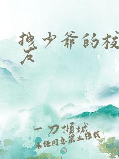 拽少爷的校花女友