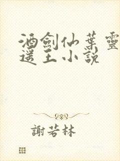 酒剑仙叶灵儿逍遥王小说