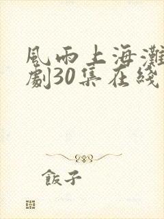 风雨上海滩电视剧30集在线观看免费