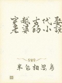 穿越古代娶三个老婆的小说