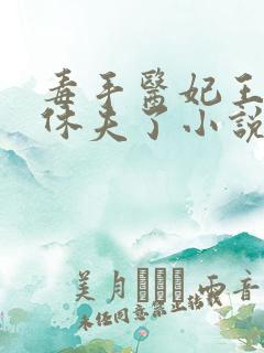 毒手医妃王爷被休夫了小说免费阅读