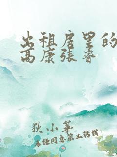 出租房里的交互高康张睿