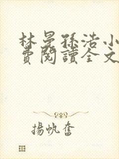 林曼孙浩小说免费阅读全文最新章节