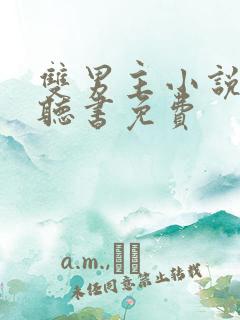 双男主小说在线听书免费