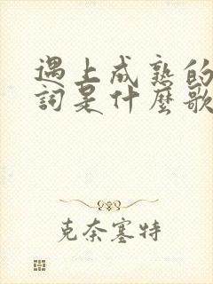 遇上成熟的我歌词是什么歌